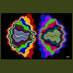 hamis reflexio01.jpg