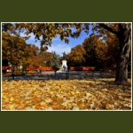 autumn017.jpg
