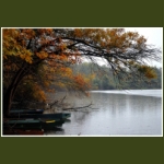 autumn025.jpg