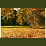 autumn067.jpg