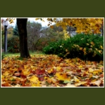 autumn090.jpg